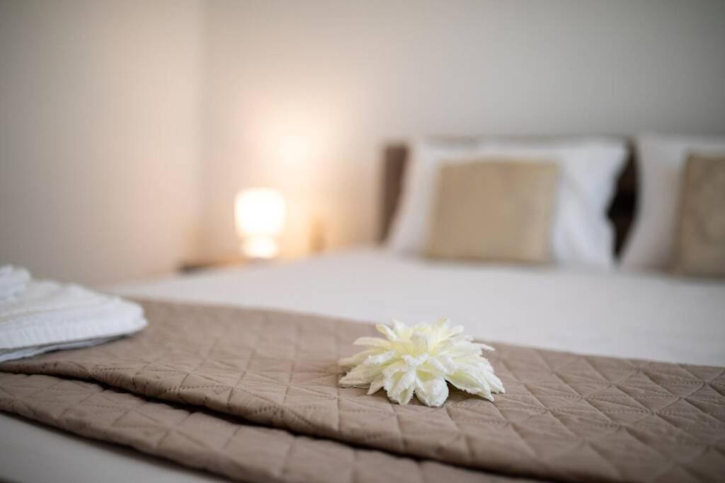 Apartment Natali Punat- Free Parking On Premises Ngoại thất bức ảnh